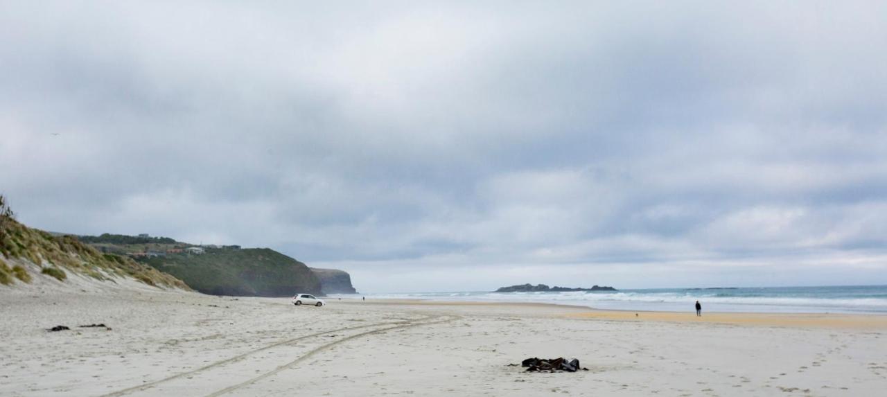 The Beach House Dunedin Eksteriør billede